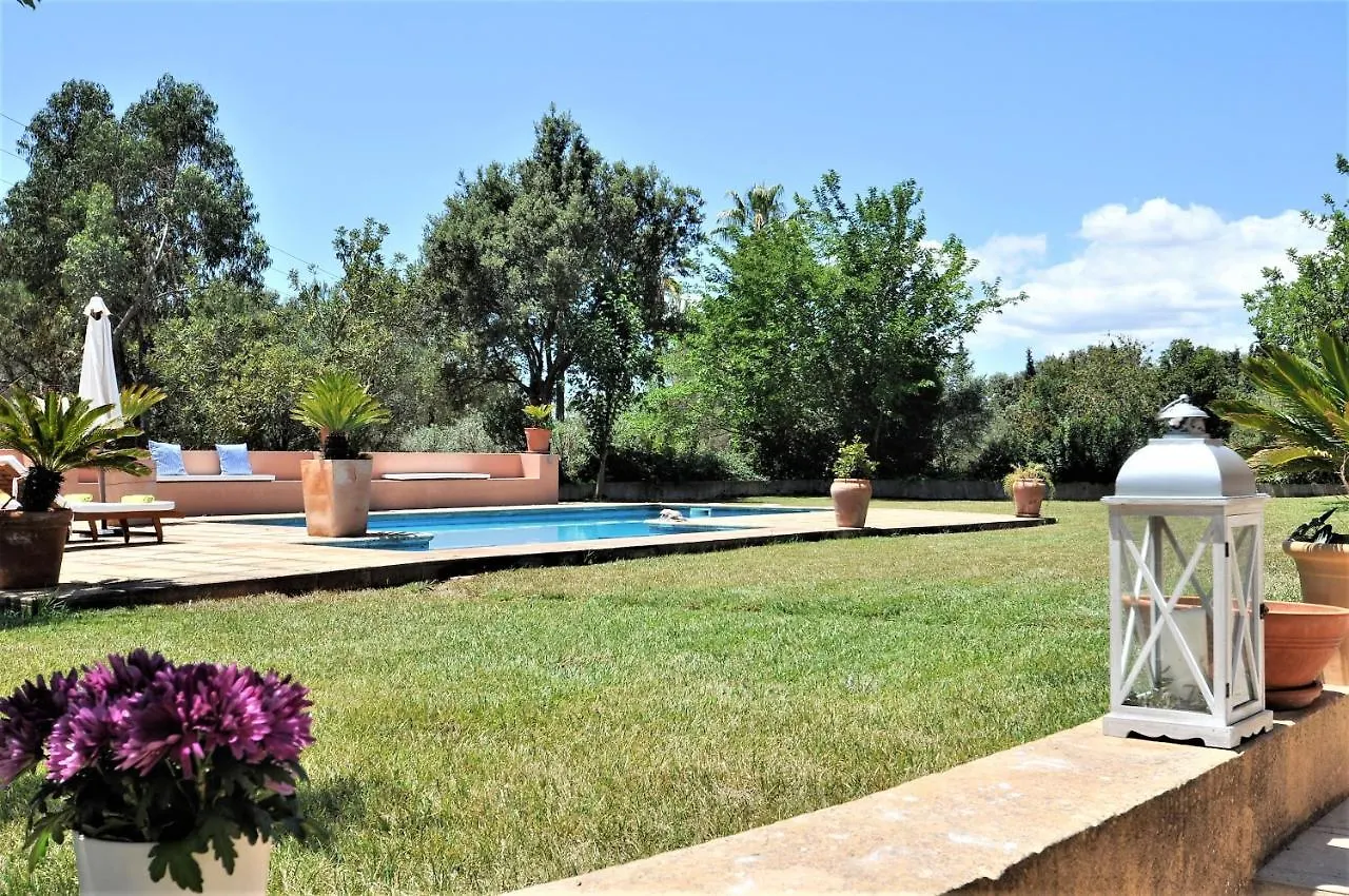 Villa Sa Rota Finca En Bunyola 8 Personas- Muy Tranquilo