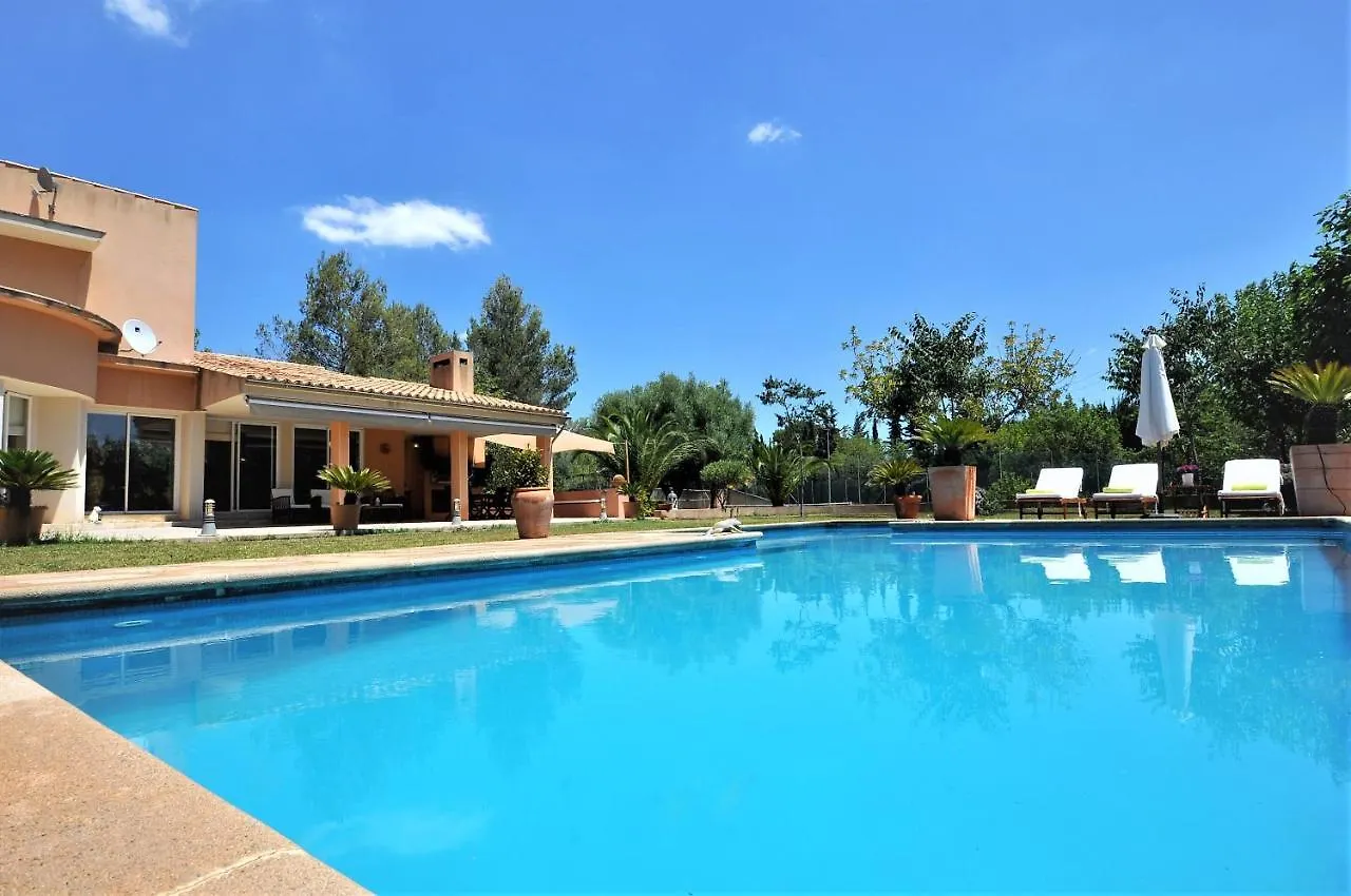 Sa Rota Finca En Bunyola 8 Personas- Muy Tranquilo