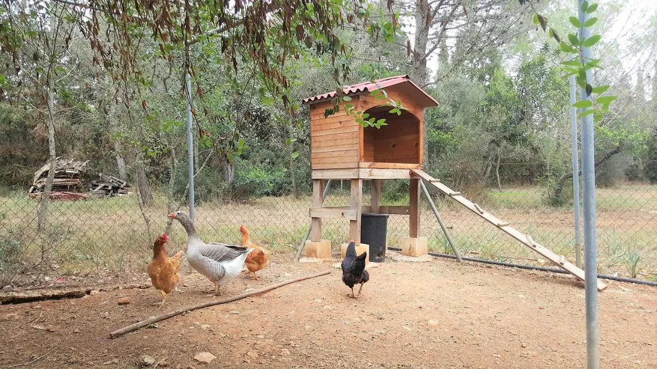 Villa Sa Rota Finca En Bunyola 8 Personas- Muy Tranquilo Spain
